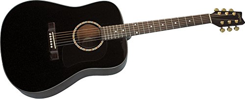 Washburn D100