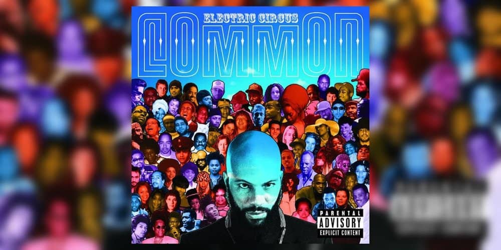 Albumism_Common