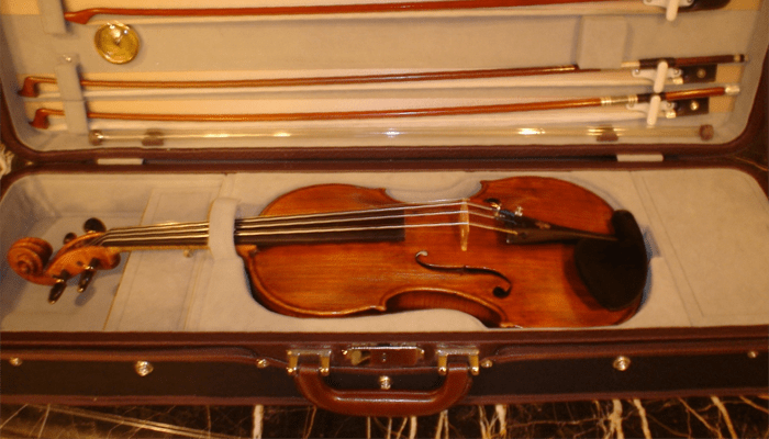Classic collection shiny violin