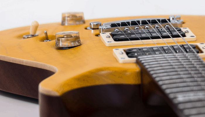 PRS dual humbucking pickups